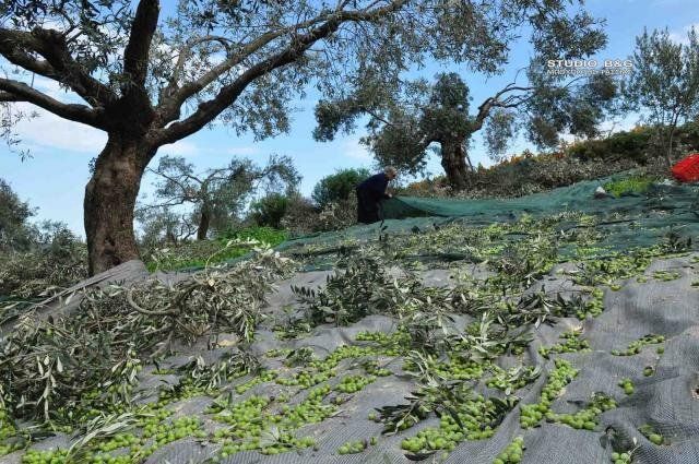 Θάνατος στο χωράφι για 63χρονο αγρότη