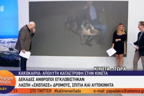 Απίστευτο περιστατικό στον αέρα της εκπομπής του Γιώργου Παπαδάκη-Γουρούνι κυνηγούσε και δάγκωνε ρεπόρτερ-[ΒΙΝΤΕΟ]