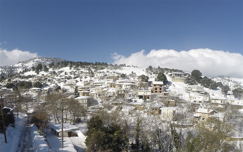 Ήρθε η ώρα να επισκεφτείτε την Σέτα! (photos)