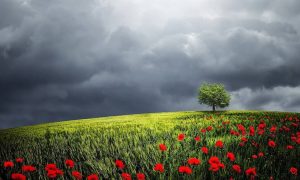 Απίστευτο: Βρήκε θησαυρό σε χωράφι – Έκλαιγε με λυγμούς!