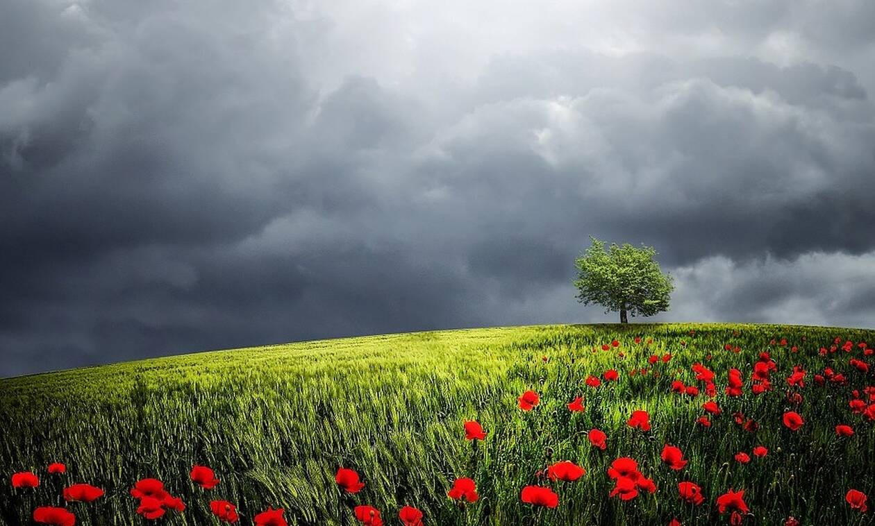 Απίστευτο: Βρήκε θησαυρό σε χωράφι – Έκλαιγε με λυγμούς!