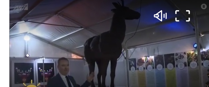 Σοκολατένιο ελάφι-γίγας στην Κατερίνη “σπάει” το ρεκόρ Γκίνες (βίντεο)