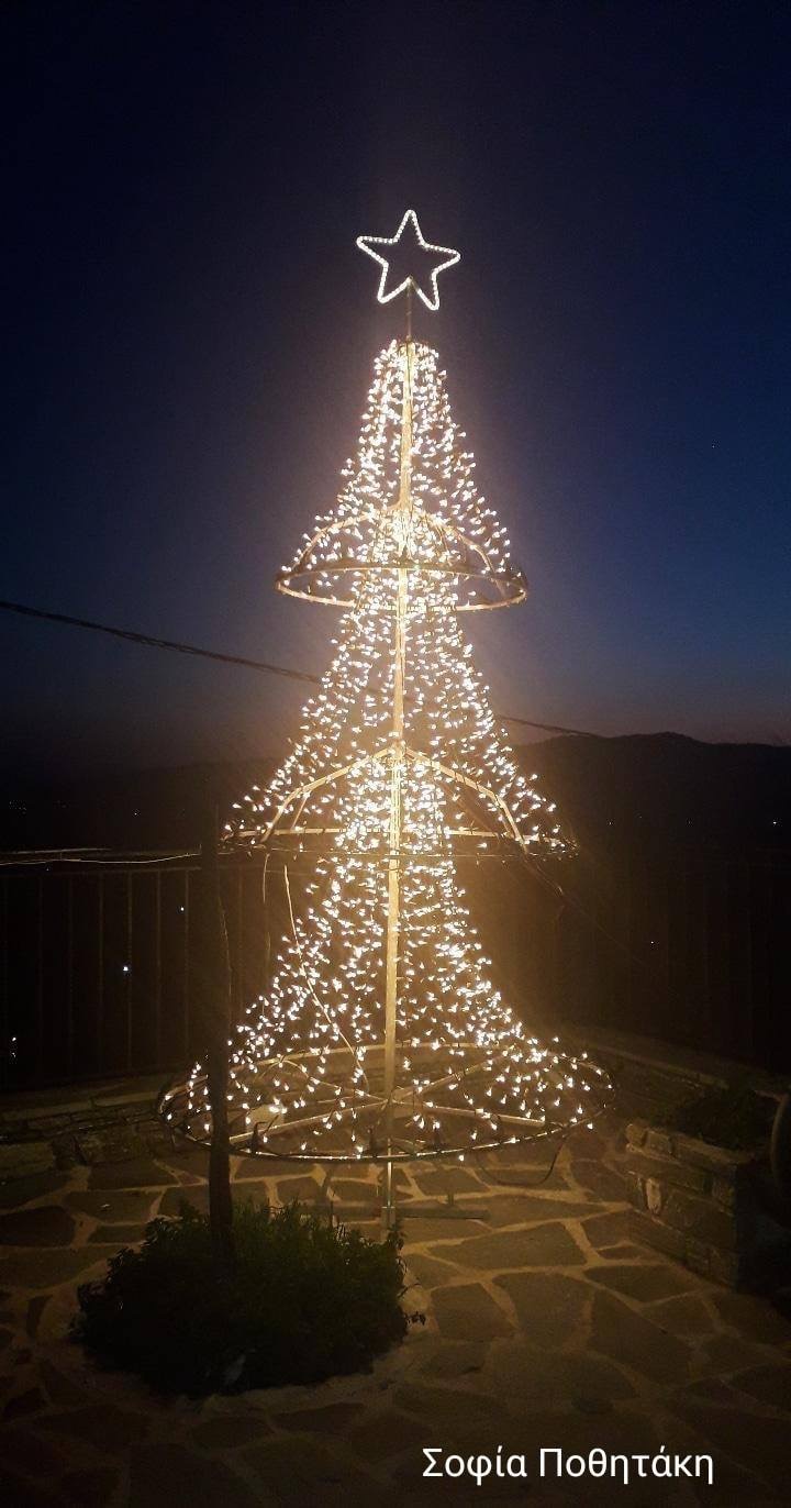 Άναψε το δέντρο στην πλατεία Αυλωναρίου