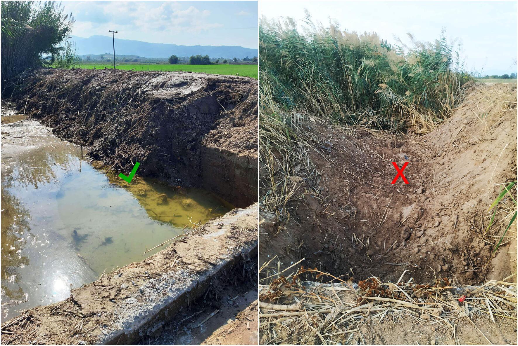 Το “ευχαριστώ” της Μαρίας Αναγνώστου στον αντιπεριφερειάρχη Εύβοιας