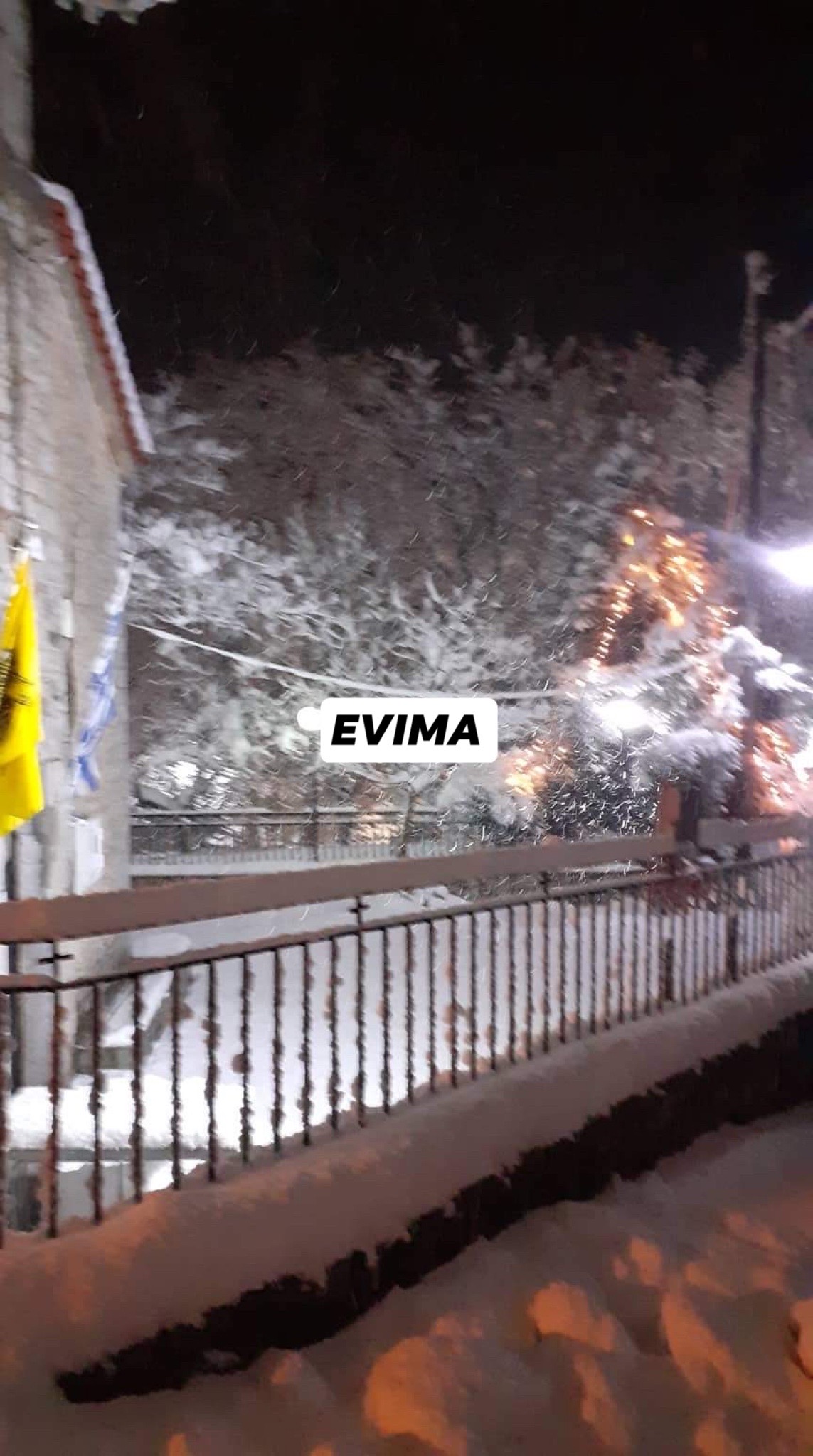 Πυκνή χιονόπτωση στη Σετα Εύβοιας-[ΦΩΤΟ]