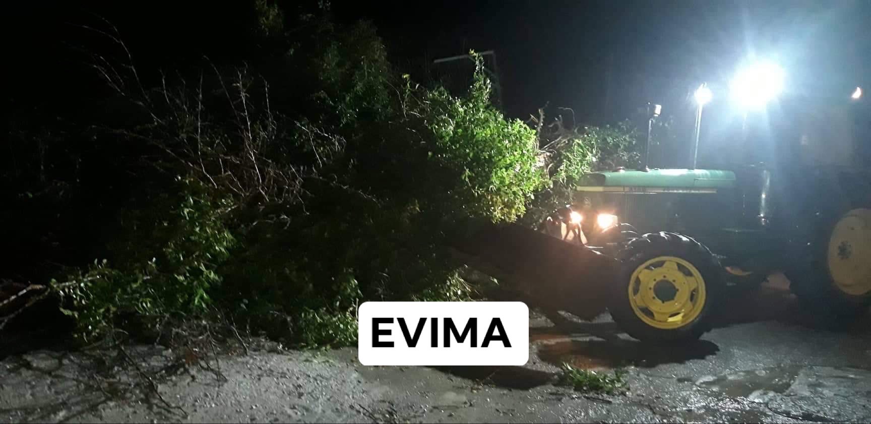 Εύβοια- Πτώσεις δέντρων από την κακοκαιρία στην Οκτωνιά-[ΦΩΤΟ&ΒΙΝΤΕΟ]