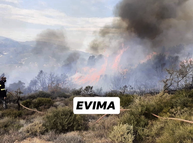 Οι πρώτες εικόνες από τη φωτιά στη Μουρτερή Οκτωνιάς