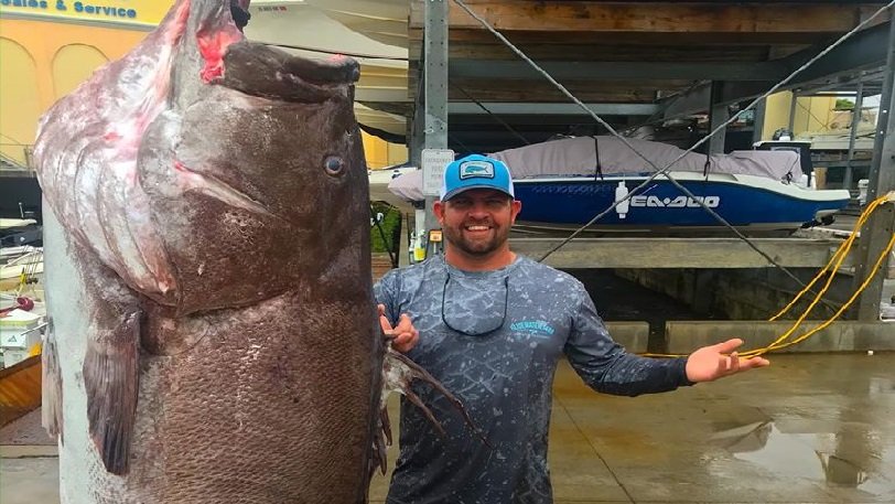 Ψάρεψε σφυρίδα 50 ετών και 158 κιλών!