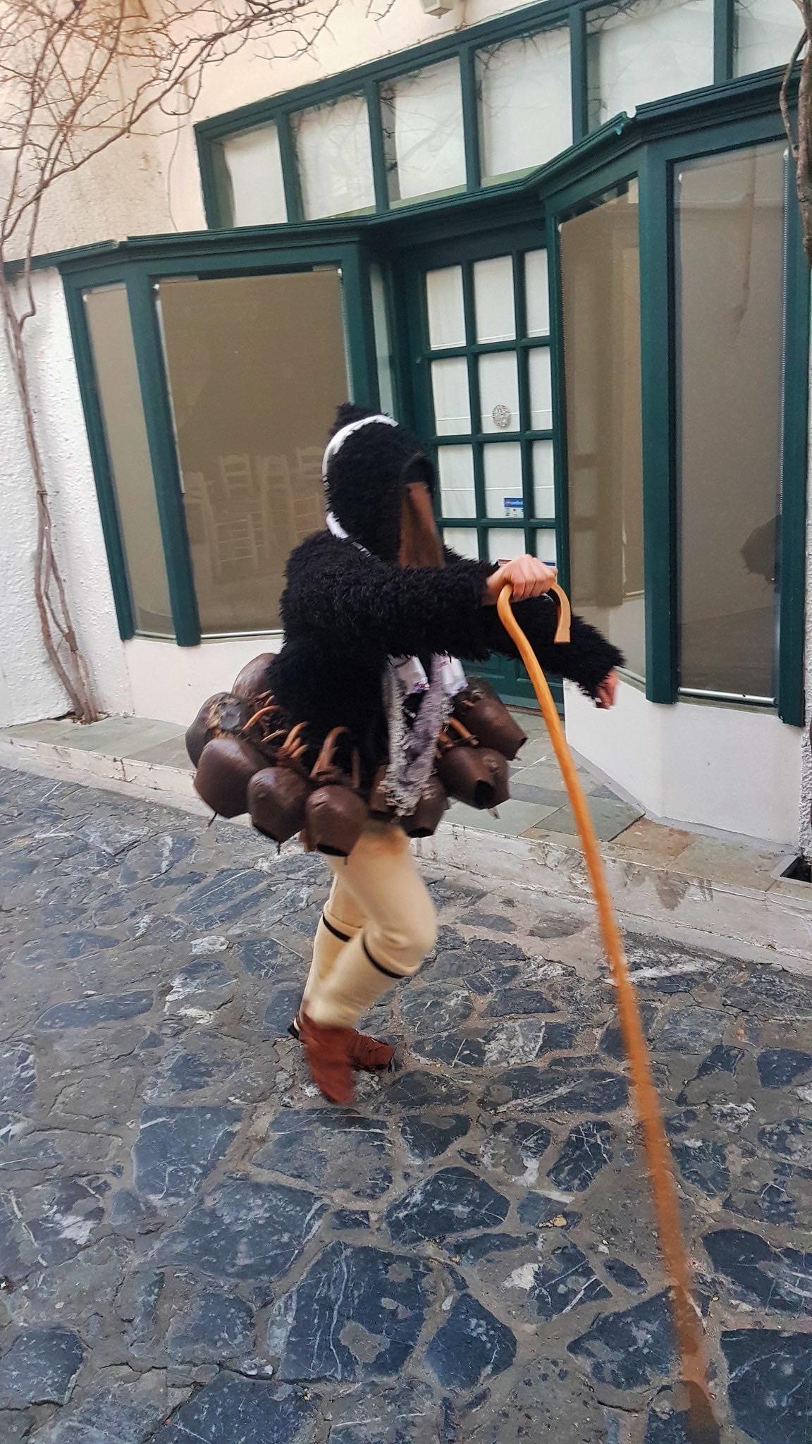 Σκύρος: Έκαναν την πρώτη εμφάνιση τους στο νησί (photos)