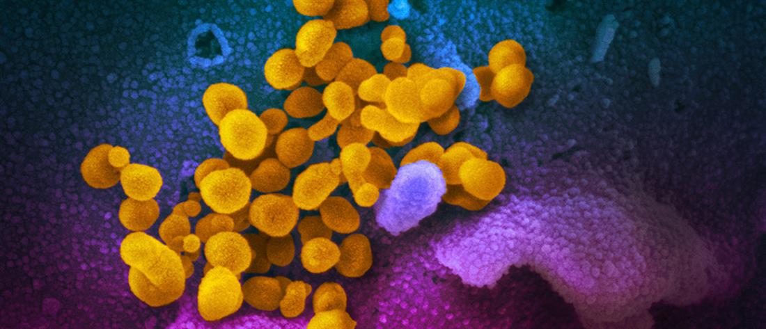 Κορονοϊός: τα ποσοστά θνητότητας