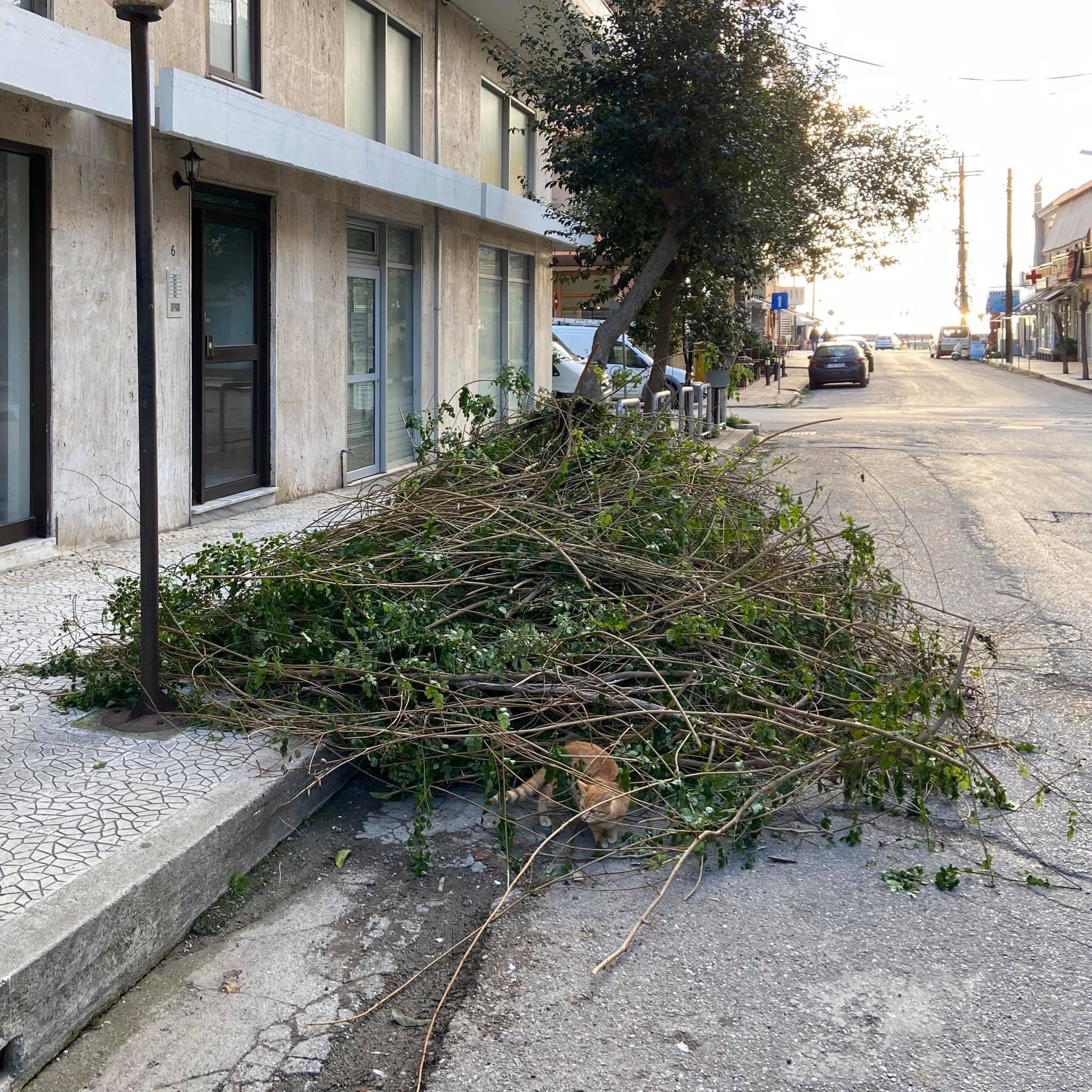 Εργασίες καθαριότητας στην Λουτρόπολη του Δήμου Ιστιαίας Αιδηψού
