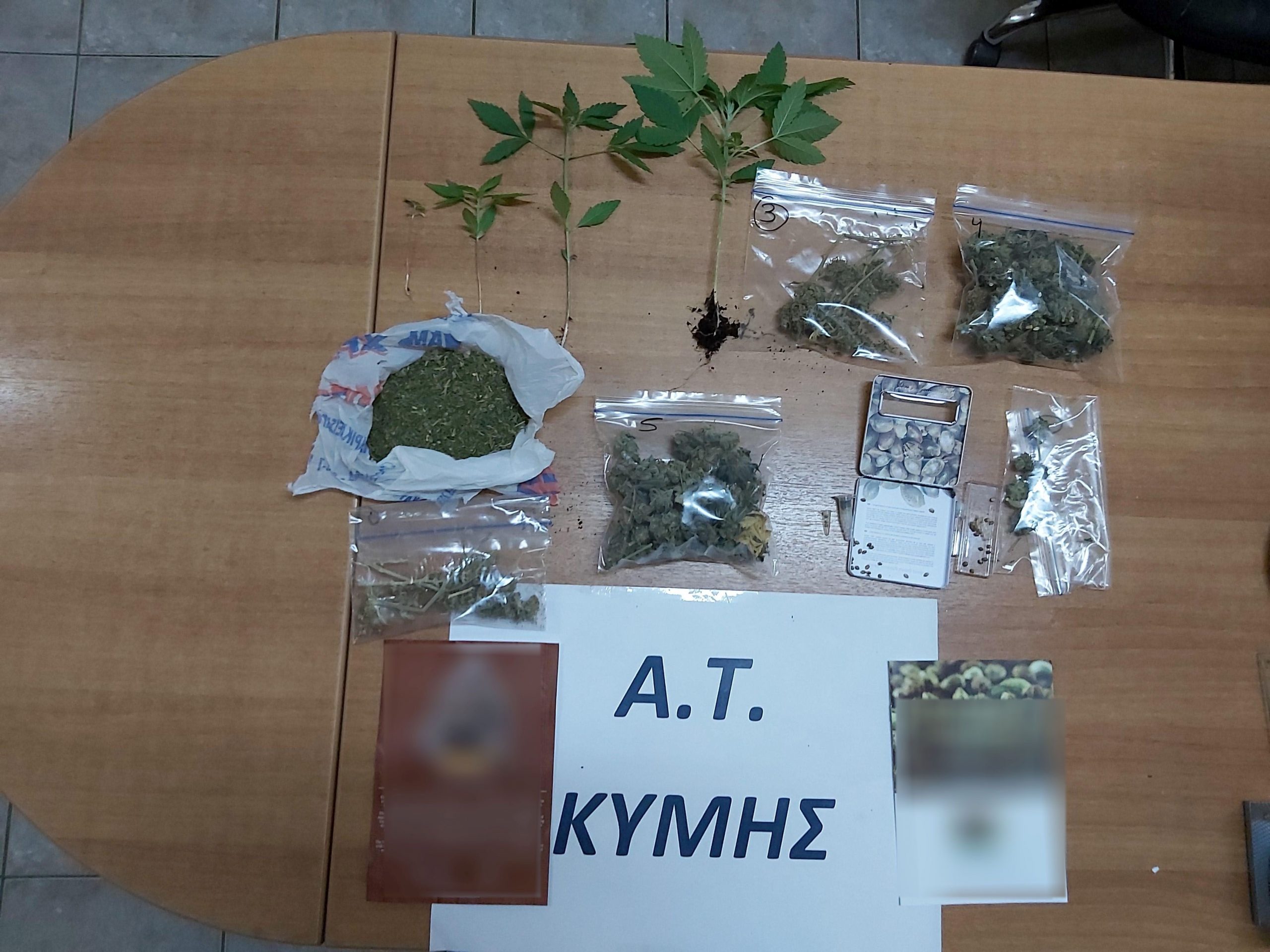 Από αστυνομικούς του Αστυνομικού Τμήματος Κύμης Ευβοίας, συνελήφθησαν (3) άτομα, για κατοχή και καλλιέργεια ναρκωτικών
