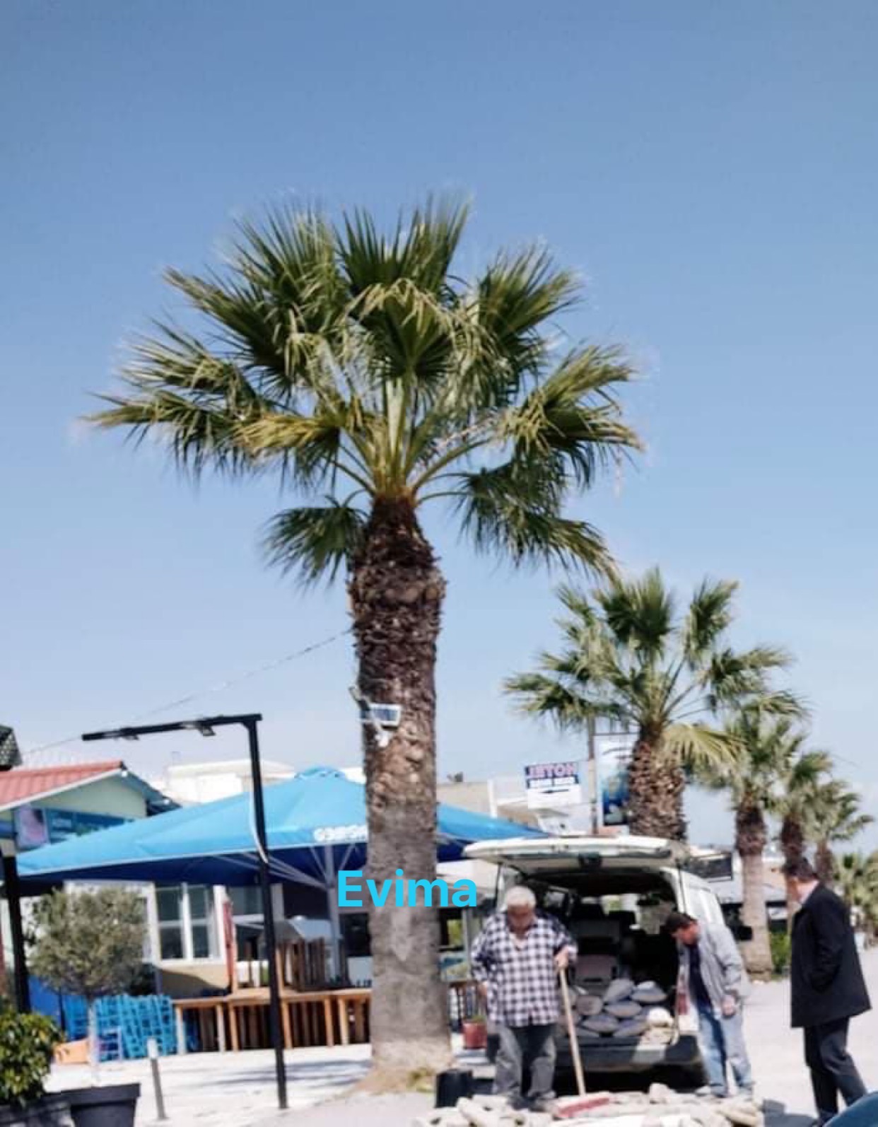 Δήμος Ερέτριας – Παράλληλα με τη μάχη για τον κορωνοϊό συνεχίζει να αντιμετωπίζει τα θέματα της καθημερινότητας