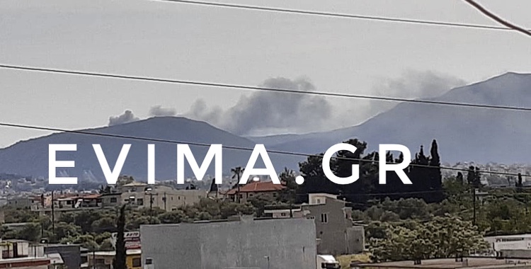 Φωτιά στη Ριτσώνα [photos]