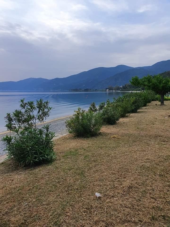 Έτοιμη η παραλία των Ροβιών μετά τις εργασίες καθαρισμού- Τα συγχαρητήρια του δημάρχου στον πρόεδρο της Κοινότητας