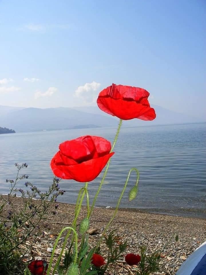 Ο καιρός σήμερα Σάββατο -Αναλυτική πρόγνωση