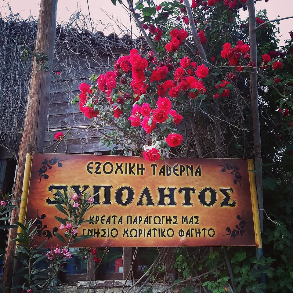 Ταβέρνα “ΞΥΠΟΛΗΤΟΣ” στην Κάρυστο – Τιμά την παραδοσιακή ελληνική κουζίνα