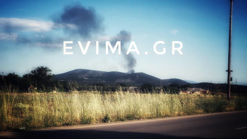 Πυρκαγιά στην Χαραυγή Χαλκίδας – Ελεγχόμενη η κατάσταση