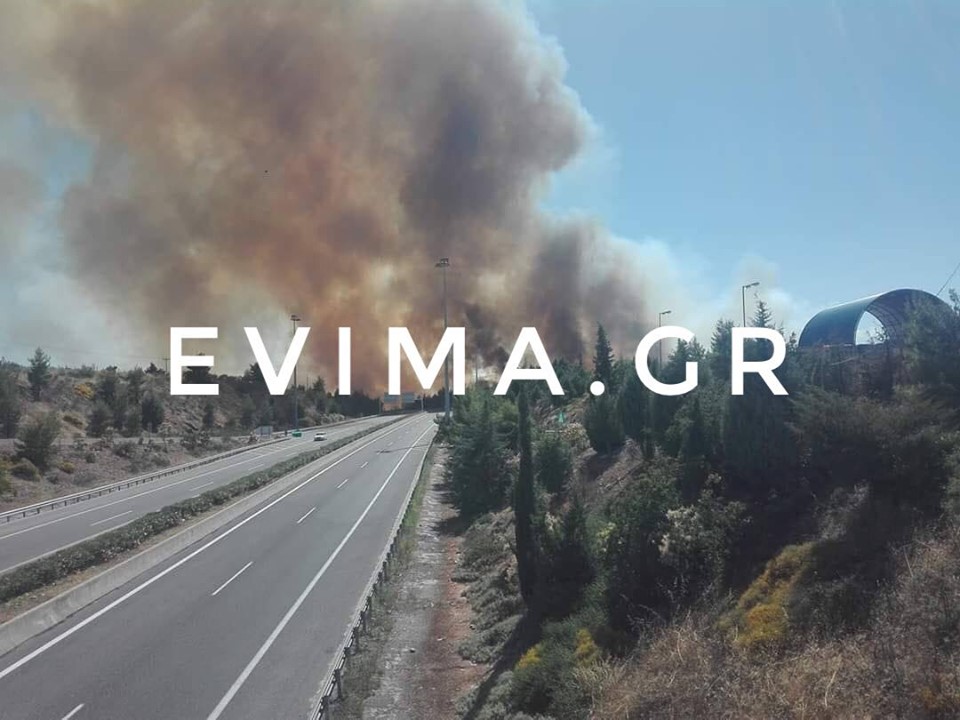 Υπό πλήρη έλεγχο η φωτιά στο Μαρτίνο Φθιώτιδας