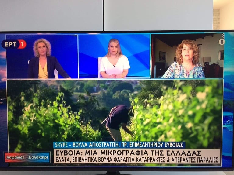 Αγιοστρατίτη στην ΕΡΤ : Η Εύβοια είναι η μικρογραφία της Ελλάδας