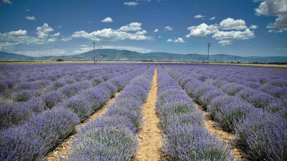 Τέλος Επιτηδεύματος: «Σβήνουν» φόροι 200 εκατ. ευρώ για 350.000 αγρότες