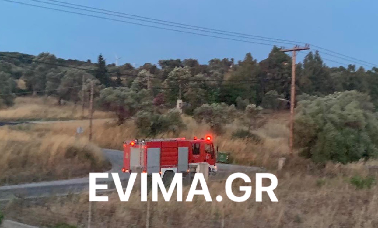 Έκτακτο-Φωτιά στο Κατασαρώνι Καρύστου