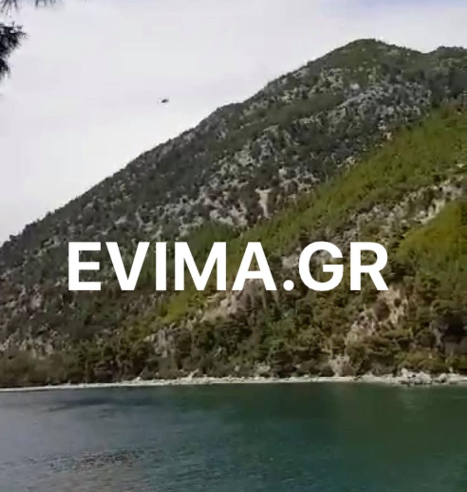 Εύβοια-Και δεύτερη φωτιά στον Άγιο Παντελεήμονα Πολιτικών [Video]