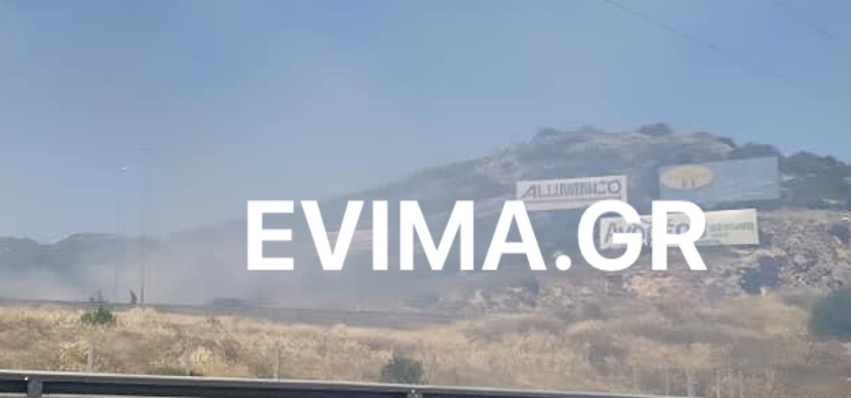 Έκτακτο : Πυρκαγιά και στη Χαλκίδα κοντά στα Ναυπηγεία [εικόνες]