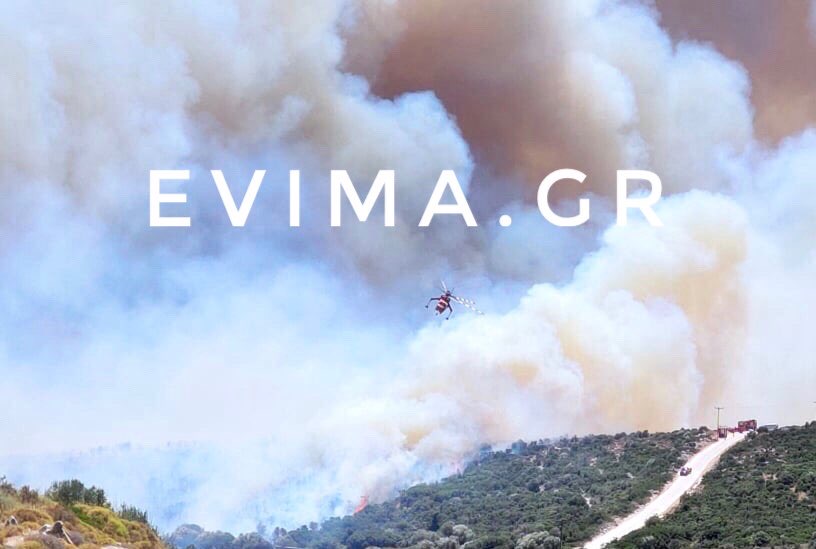 Πρόεδρος Κοινότητας Ραπταίων στο evima: Η φωτιά είναι πολύ μεγάλη, καίει μέσα σε χαράδρα [Νέες εικόνες]