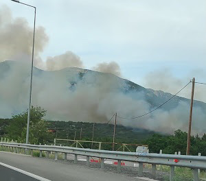 Φωτια σε δασική έκταση στην περιοχή Λοκρών Φθιώτιδας – Δυνάμεις της πυροσβεστικής στην περιοχή