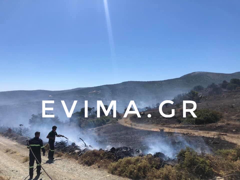 Τα συγχαρητήρια της προέδρου των Μεσοχωριών σε όσους συνέβαλαν στην κατάσβεση της φωτιάς