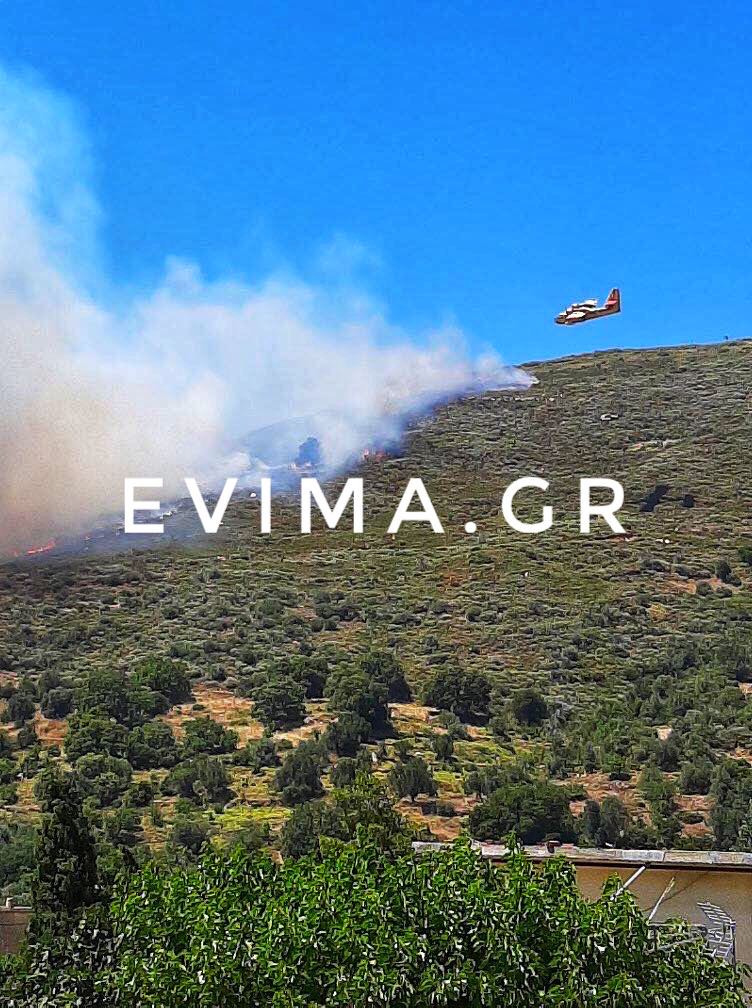 Τώρα:Στη μάχη της κατάσβεσης της φωτιάς στο Κατσαρώνι Καρύστου και δύο καναντέρ [photos]