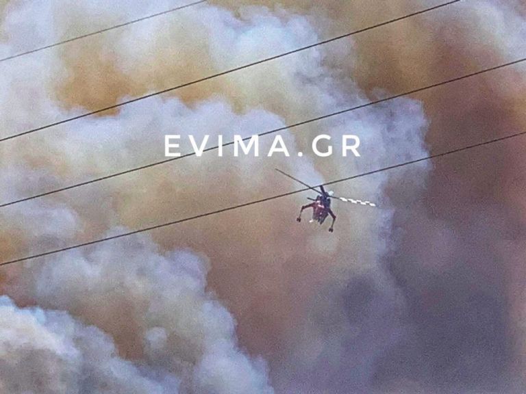 Υψηλός κίνδυνος πυρκαγιάς σήμερα στην Εύβοια [Χάρτης]