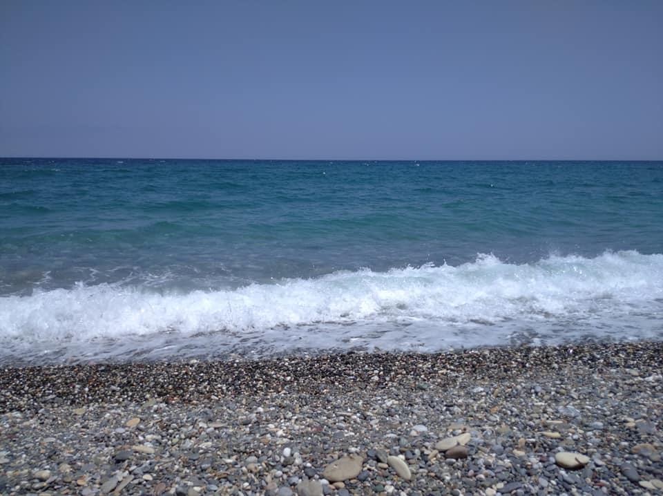 Εύβοια:Γεύση Αιγαίου από την παραλία στο Στόμιο Οξυλίθου [photos]