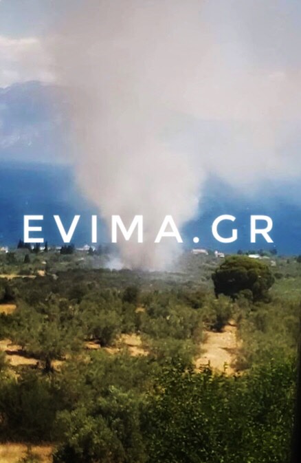 Εύβοια-Φωτιά σε αγροτική έκταση με διάσπαρτες κατοικίες στα Λουκίσσια [photo]