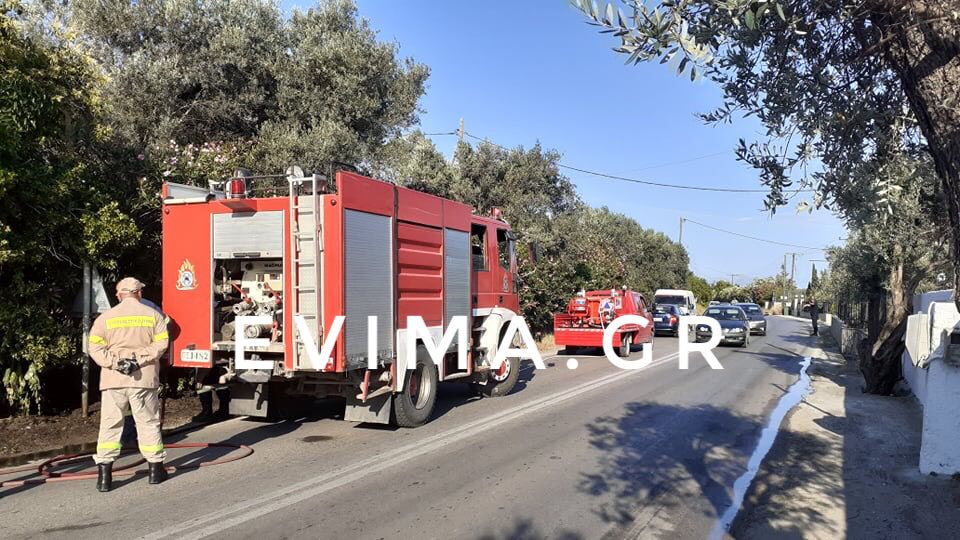 Εύβοια-Φωτιά μετά το ξενοδοχείο Holiday στην Ερέτρια- [εικόνες]