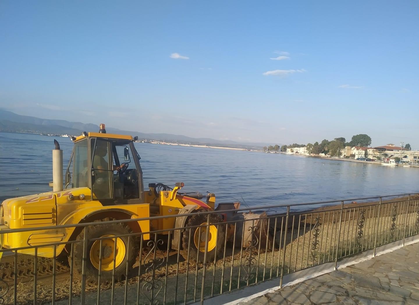 Συνεχίζεται για 6η ημέρα ο καθαρισμός των παραλιών του Δήμου Ερέτριας Συνεχίζεται για 6η ημέρα ο καθαρισμός των παραλιών του Δήμου Ερέτριας