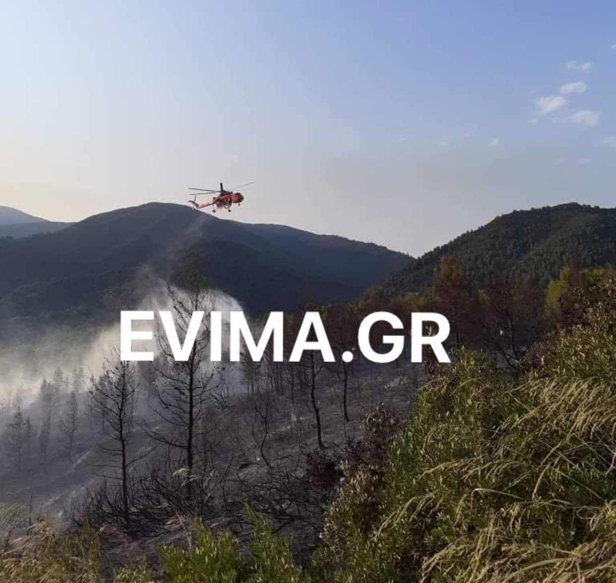 Υπό έλεγχο η φωτιά στις Ροβιές- Επικοινωνία δημάρχου με περιφερειάρχη και Χαρδαλιά [εικόνες]