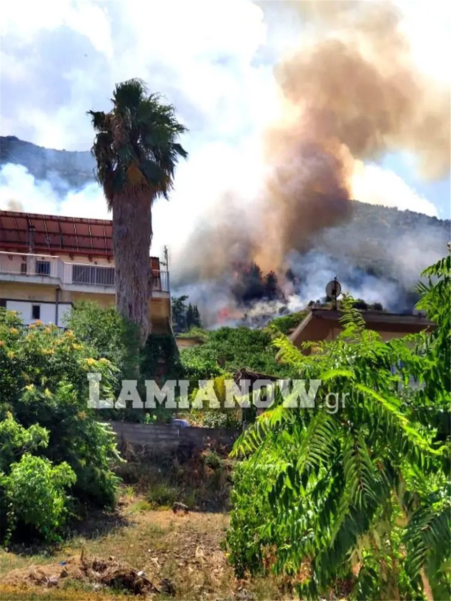 Φωτιά στην Αταλάντη πολύ κοντά σε σπίτια [Βίντεο]