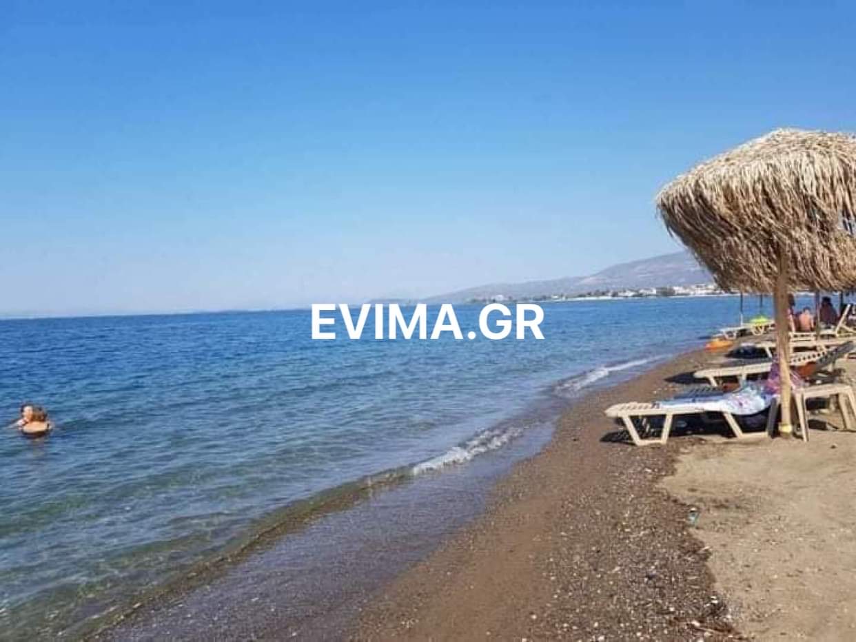 Καθαρίστηκαν οι παραλίες στην Κοινότητα Αμαρύνθου [εικόνες]