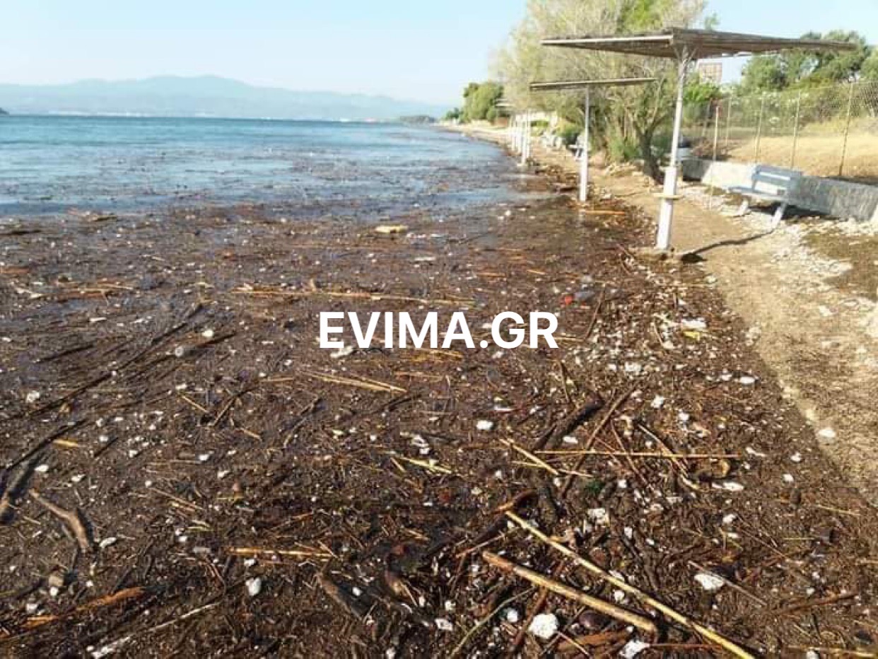 Τα φερτά υλικά γέμισαν τις παραλίες της Αμαρύνθου – Συνεργεία του Δήμου προχωρούν στον καθαρισμό