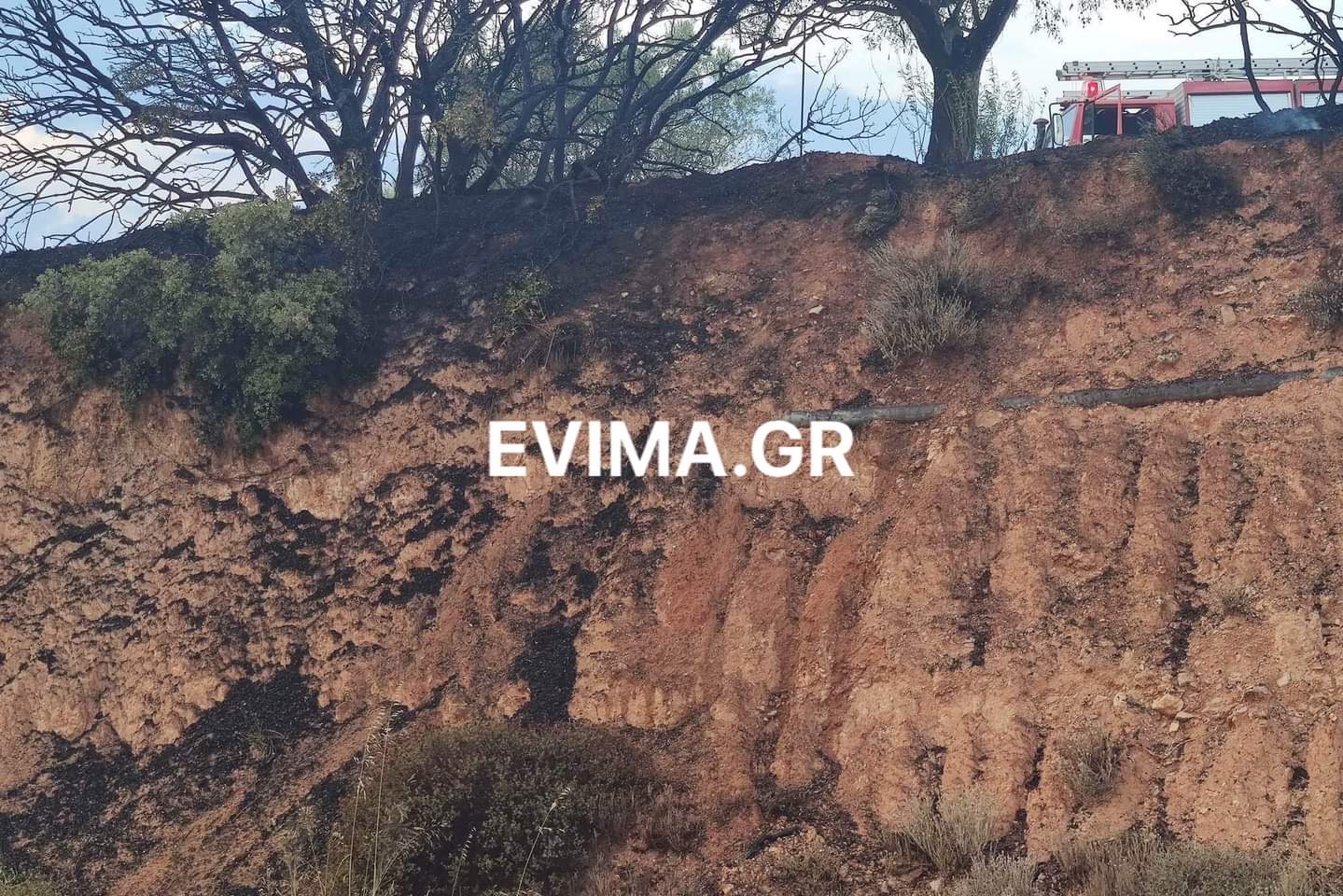 Υπό πλήρη έλεγχο η φωτιά στη Ριτσώνα [εικόνες]