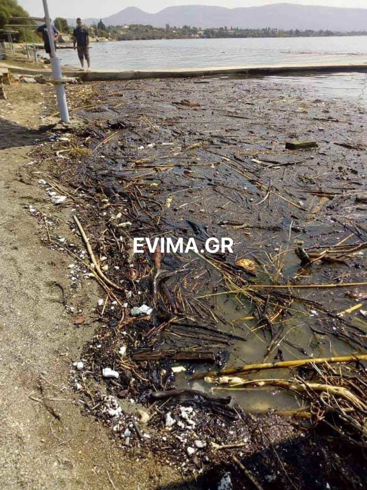 Λουόμενοι από την Ερέτρια στο evima: Οι παραλίες γέμισαν με φερτά υλικά – Ακατάλληλες για μπάνιο [εικόνες]