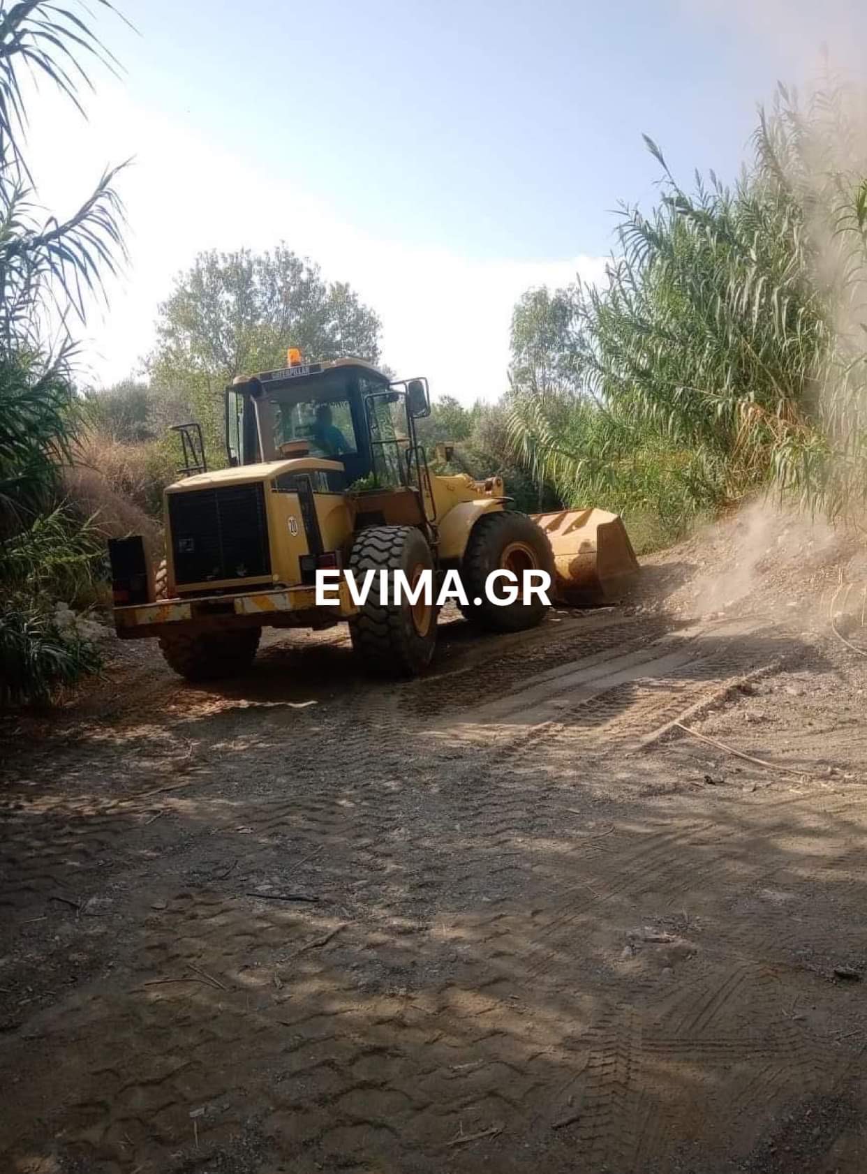 Αμάρυνθος: Καθαρισμός του σαρανταπόταμου μετά από αίτημα του προέδρου της Κοινότητας [εικόνες]