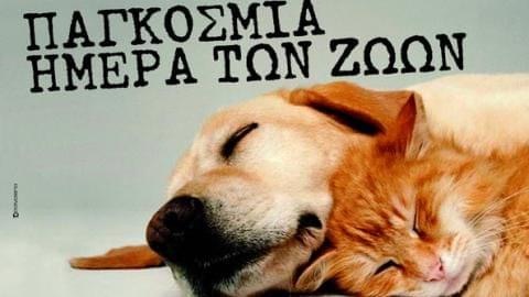 Καραβάς: Όραμα μας ένας Δήμος που κανένα Ζώο δεν θα βιώνει την παραμέληση..την κακοποίηση και τον βασανισμό!