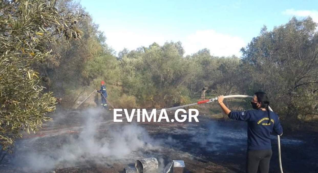 Εύβοια: Φωτιά στο Μαλακώντα Ερέτριας- Κάηκε κολώνα της ΔΕΗ [εικόνες]
