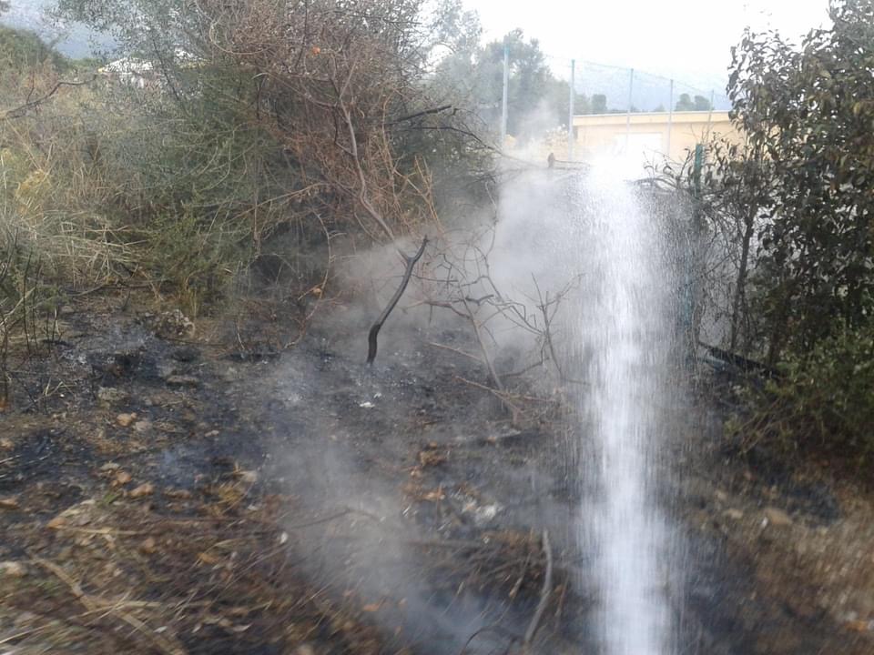 Εύβοια: Φωτιά σε περιοχή της Ερέτριας [εικόνες]
