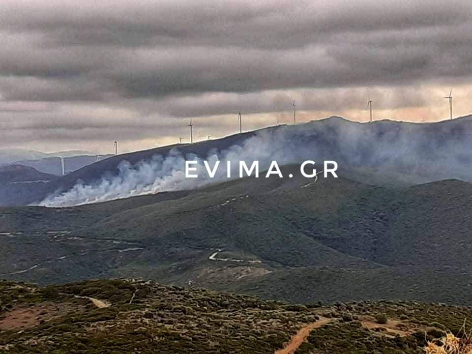 Εύβοια: Δασική έκταση καίει η φωτιά στο Ρεούζι της Δ.Ε. Στυρέων -Αποκλειστικές εικόνες