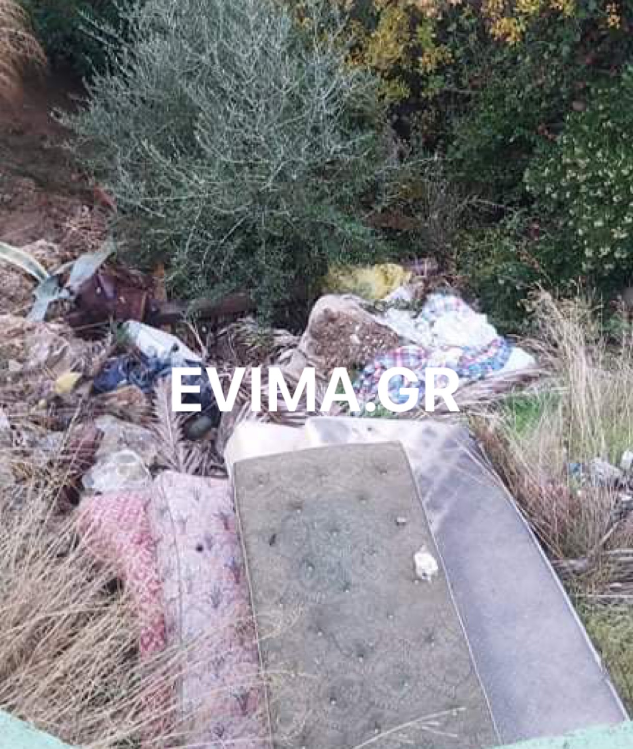 Εύβοια Τραγικό: Εστία μόλυνσης τα πεταμένα σκουπίδια στην άκρη του δρόμου στην Δημοτική Ενότητα Αυλώνος – Αποκλειστικές εικόνες