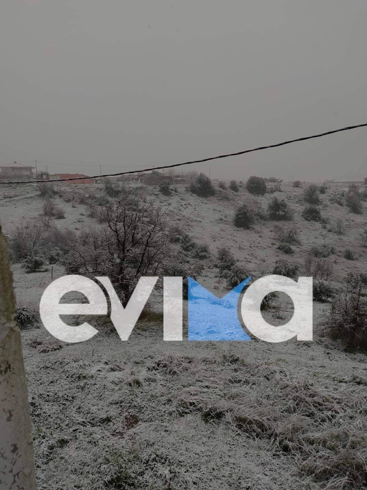 Δήμαρχος Διρφύων Μεσσαπίων στο evima.gr: Χιονίζει στη Στενή, το βράδυ περιμένουμε πιο έντονη χιονόπτωση [εικόνες]